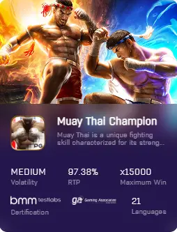 Muay Thai Champion