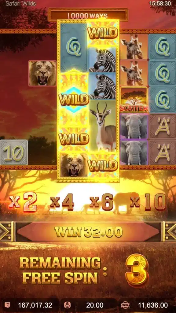 safari wilds