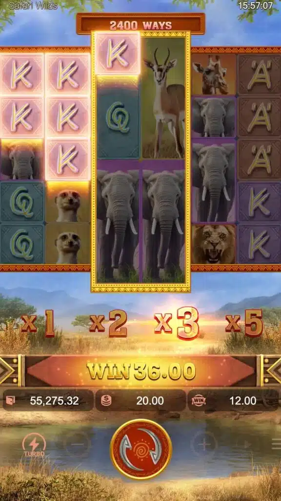 safari wilds