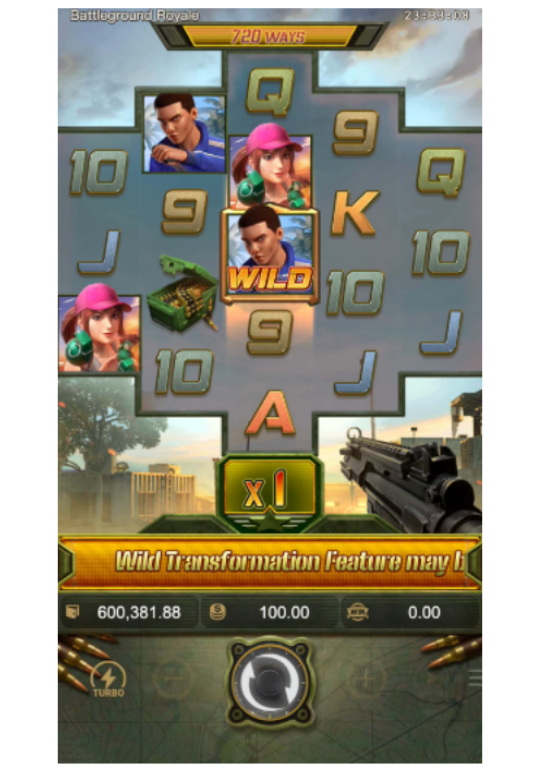 ฟีเจอร์การแปลง Wild