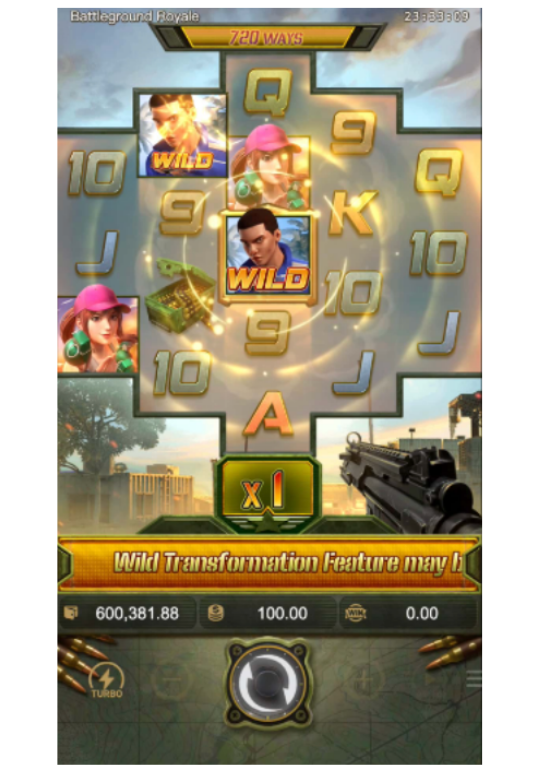 ฟีเจอร์การแปลง Wild