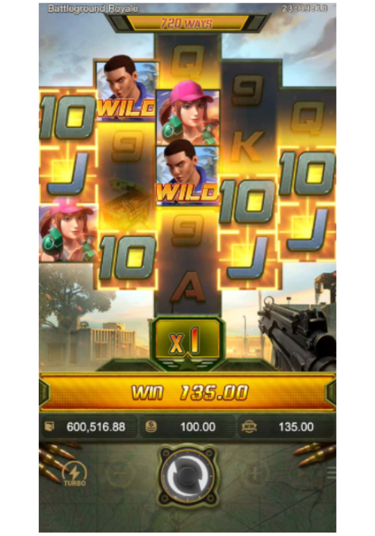 ฟีเจอร์การแปลง Wild